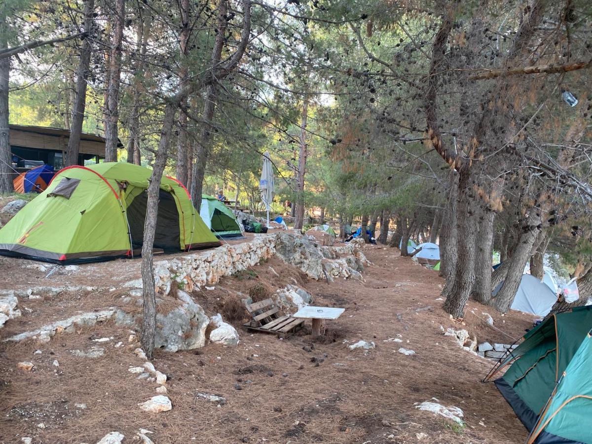 Отель Pine Side Camp Химара Экстерьер фото